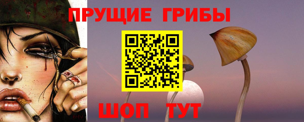 Галлюциногенные грибы ЛСД  Псилоцибиновые грибы мицелий  Вход с VPN  Камышлов 